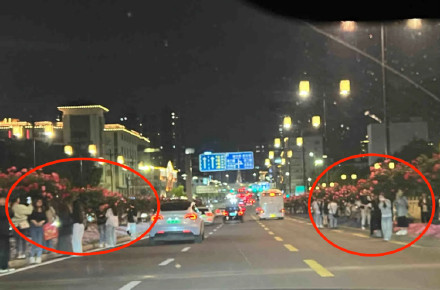 苏州街头连夜更换被游客踩踏花卉？绿化管理站：是正常更换，有人摘花只能劝