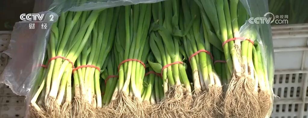 4月份“菜篮子”价格季节性下降 主产区蔬菜上市正当时 4月份“菜篮子”价格季节性下降 主产区蔬菜上市正当时