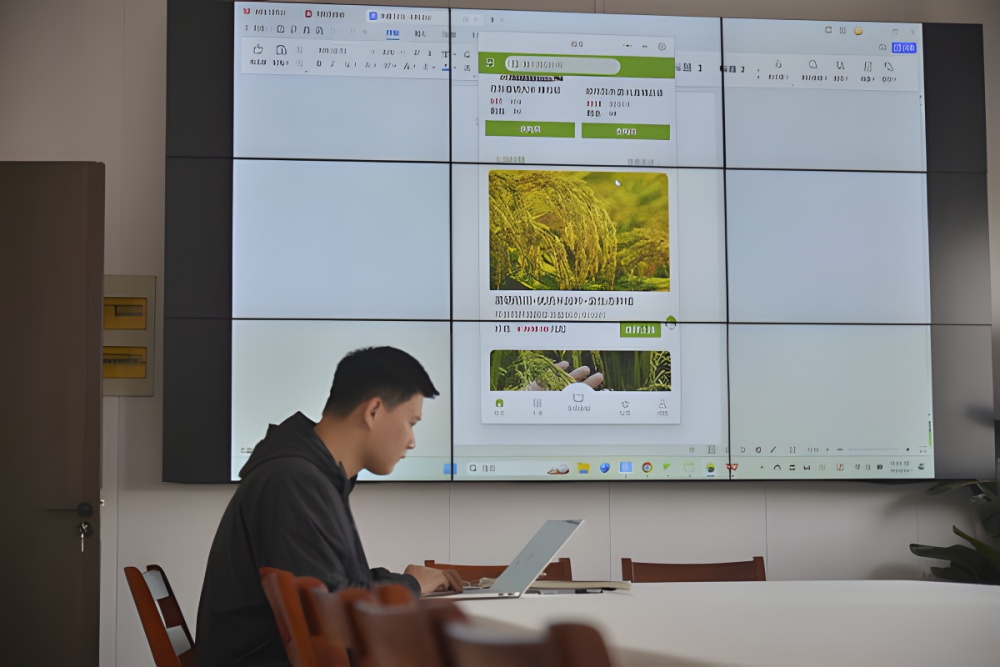 浙江嘉善：“新青年”为乡村振兴注入新动能