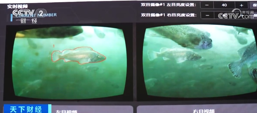 “智慧渔场”打造“蓝色粮仓” 深远海里忙收鱼