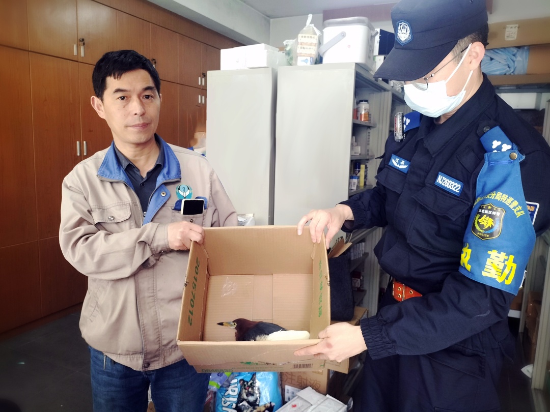 那些送往红山动物园的小家伙们，现在怎么样了？