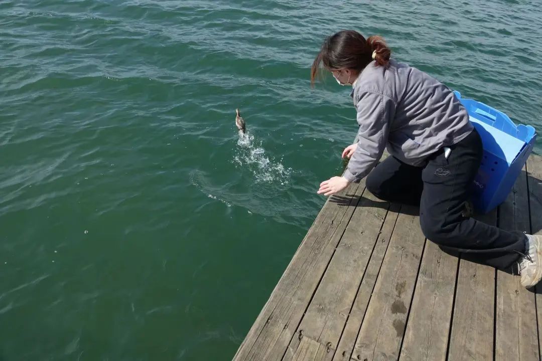 那些送往红山动物园的小家伙们，现在怎么样了？