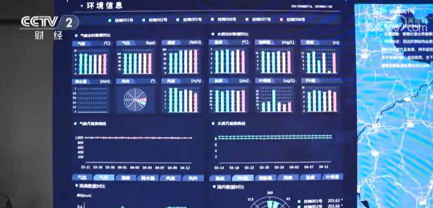 “智慧渔场”打造“蓝色粮仓” 深远海里忙收鱼