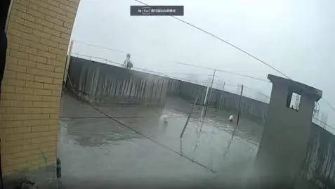 千钧一发之际 他们飞快冲上前救下了她