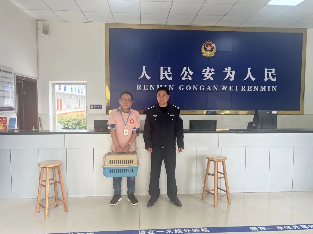 身披蓑衣的“小鸟”，原来是国家“三有”保护动物！