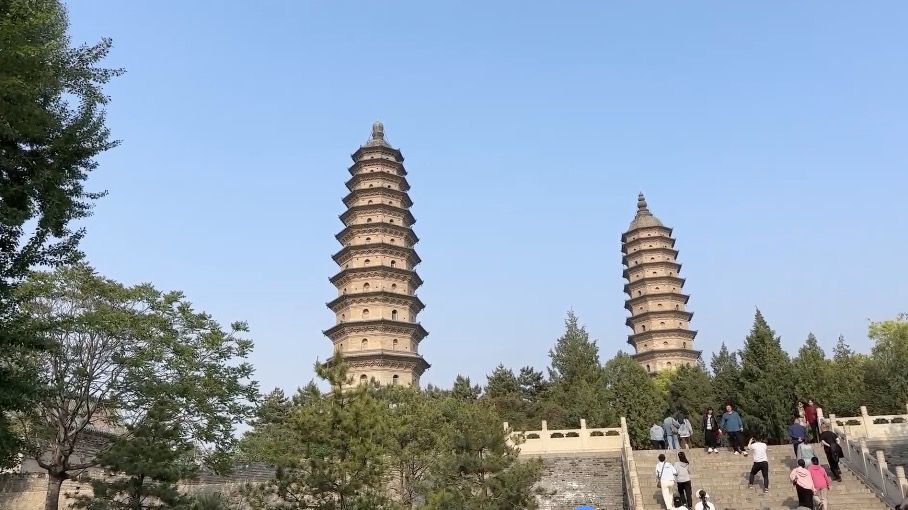 400多岁的明代牡丹“紫霞仙”绽放太原 400多岁的明代牡丹“紫霞仙”绽放太原