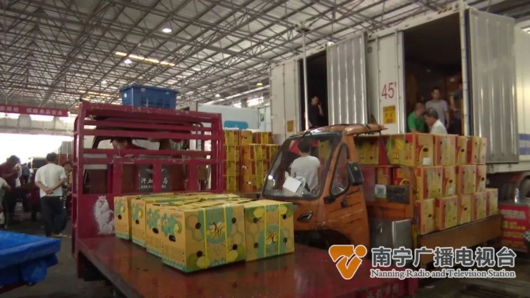 榴莲100元3个？南宁人的“榴莲自由”来了吗