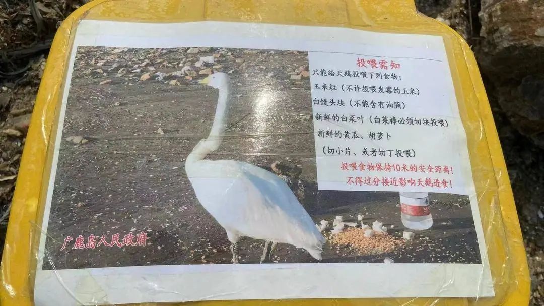 跨省联手！救助“那香海4号”