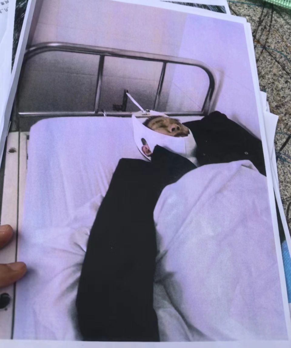 老人在小区被天降瓷砖砸伤致残,物业:赔偿金额分歧较大 老人在小区被天降瓷砖砸伤致残,物业:赔偿金额分歧较大