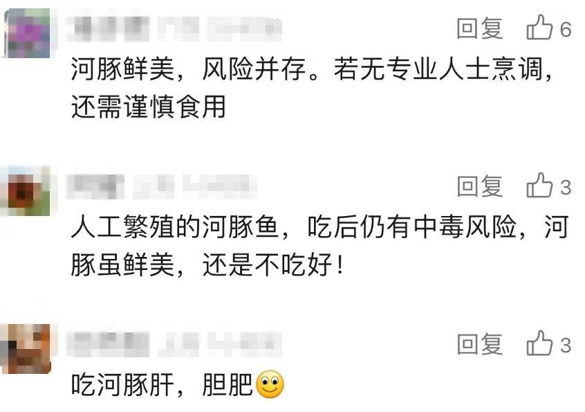 上海一男子吃了自己煮的河豚鱼中毒了?医生提醒:人工养殖的也有毒性! 上海一男子吃了自己煮的河豚鱼中毒了?医生提醒:人工养殖的也有毒性!
