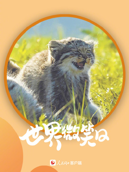 开开心心！小动物的微笑超治愈