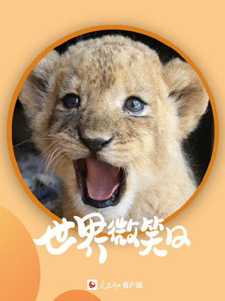 开开心心！小动物的微笑超治愈