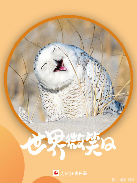 开开心心！小动物的微笑超治愈