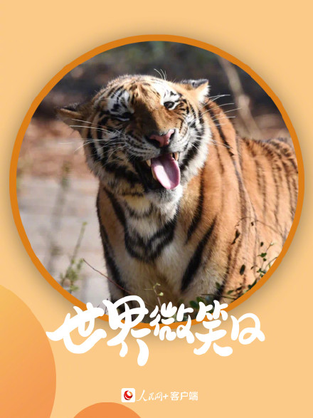 开开心心！小动物的微笑超治愈