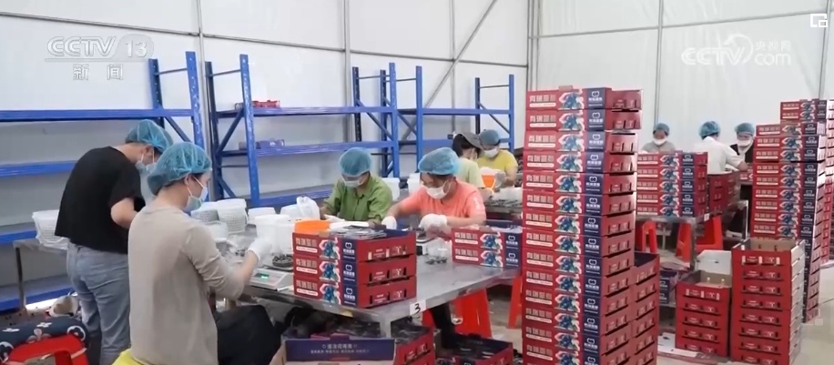 多领域延续稳步向好发展态势 为中国经济二季度开局奠定良好基础 多领域延续稳步向好发展态势 为中国经济二季度开局奠定良好基础