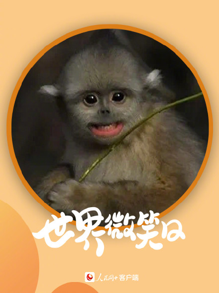 开开心心！小动物的微笑超治愈