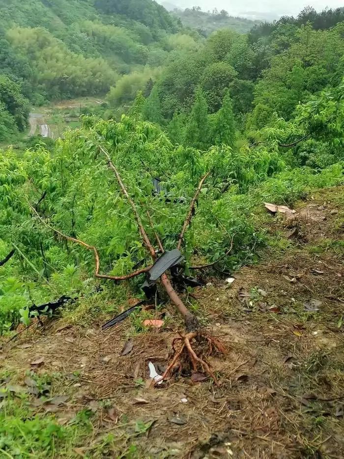 夫妻驾驶特斯拉坠崖身亡，最新回应！