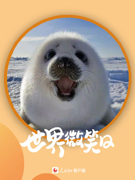 开开心心！小动物的微笑超治愈