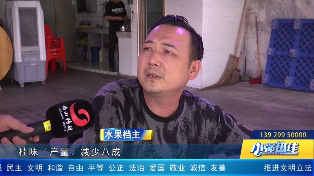 产量大减！今年涨疯了，桂味价格或涨10倍！佛山街坊还能实现荔枝自由吗？