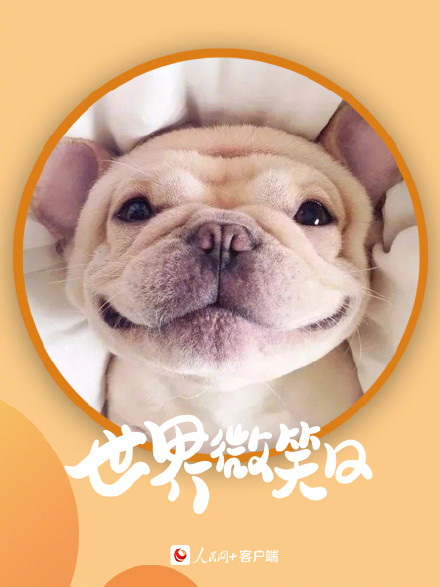 开开心心！小动物的微笑超治愈