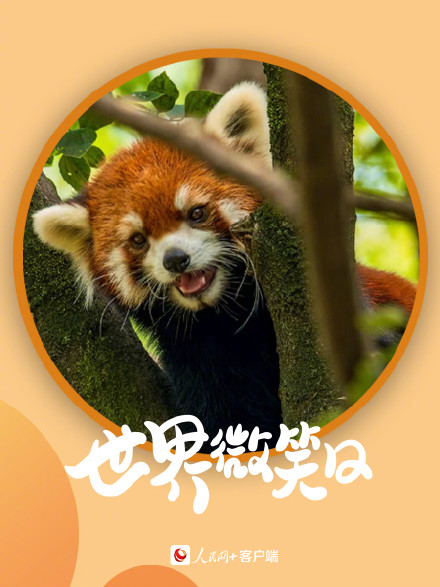 开开心心！小动物的微笑超治愈