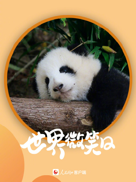 开开心心！小动物的微笑超治愈