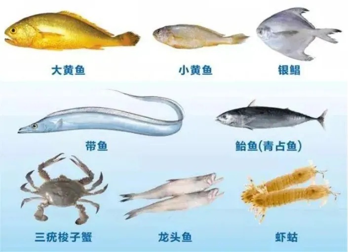 今起至8月1日,浙江全面禁售! 今起至8月1日,浙江全面禁售!