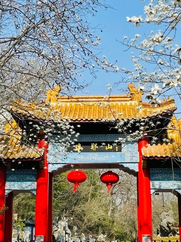 黄鹤楼免门票了？最新回应