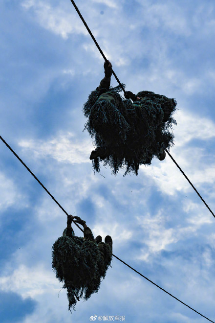 淬锋砺刃！直击陆军某旅狙击专业考核