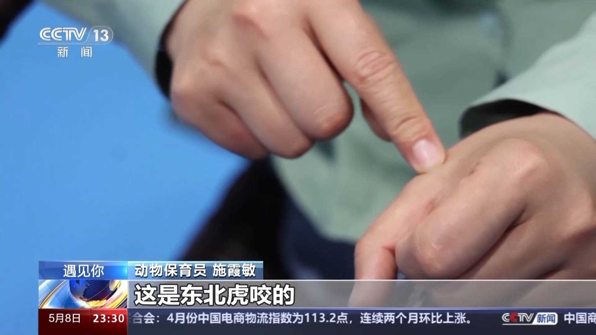 带薪“撸虎玩熊”?95后的她4年里拉扯大200多只猛兽崽崽 带薪“撸虎玩熊”?95后的她4年里拉扯大200多只猛兽崽崽