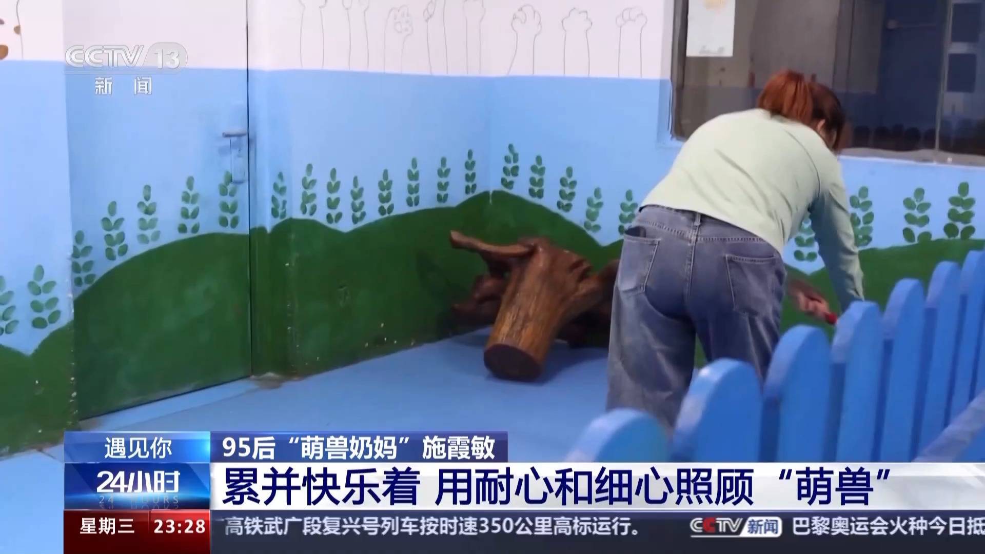 带薪“撸虎玩熊”?95后的她4年里拉扯大200多只猛兽崽崽 带薪“撸虎玩熊”?95后的她4年里拉扯大200多只猛兽崽崽