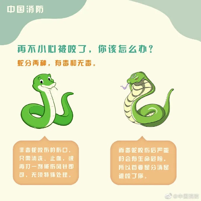 警惕!杭州女子不慎家门口中招,有剧毒 警惕!杭州女子不慎家门口中招,有剧毒