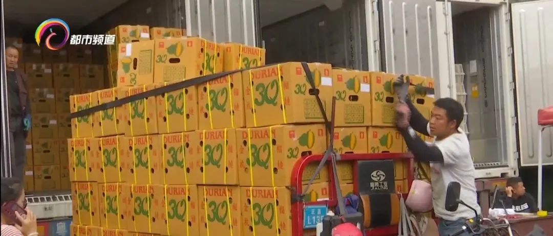 热搜第一!这种高价水果居然“100元5个”? 热搜第一!这种高价水果居然“100元5个”?