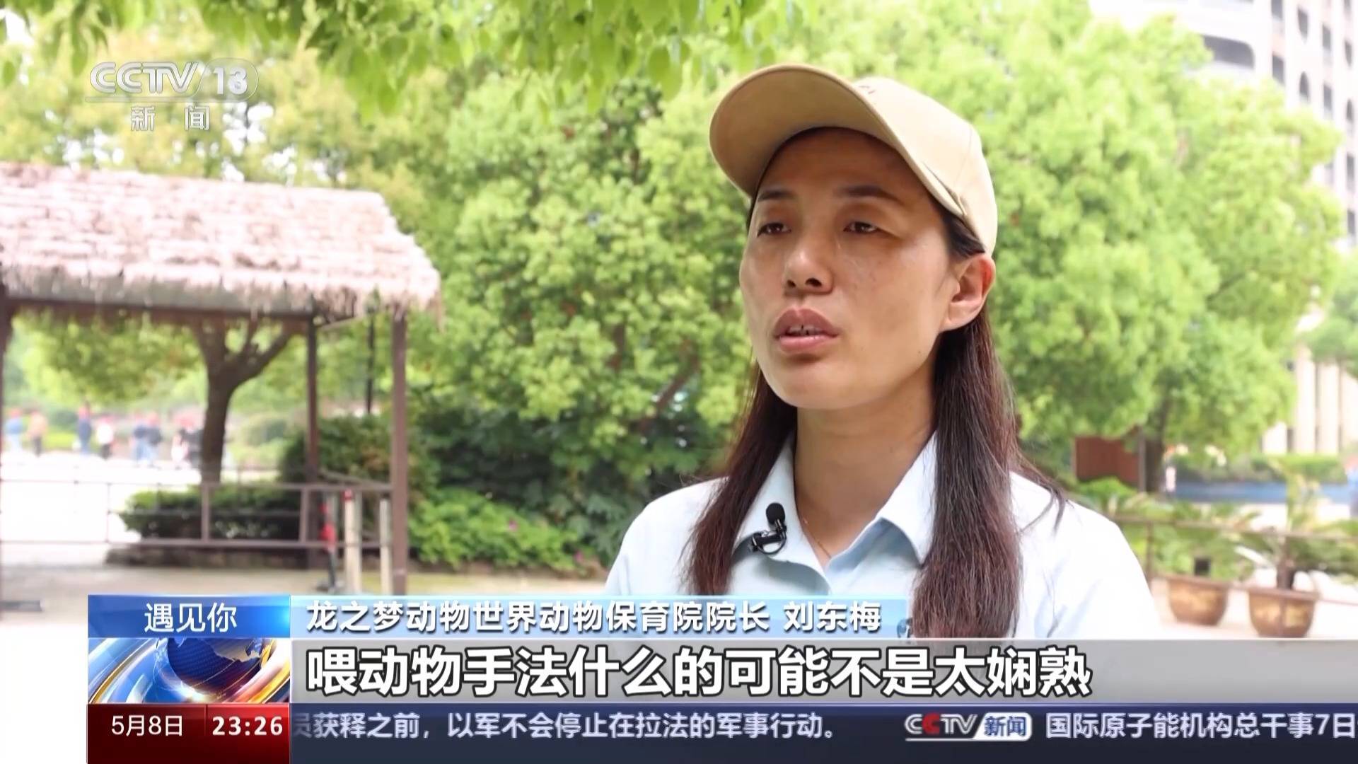 带薪“撸虎玩熊”?95后的她4年里拉扯大200多只猛兽崽崽 带薪“撸虎玩熊”?95后的她4年里拉扯大200多只猛兽崽崽