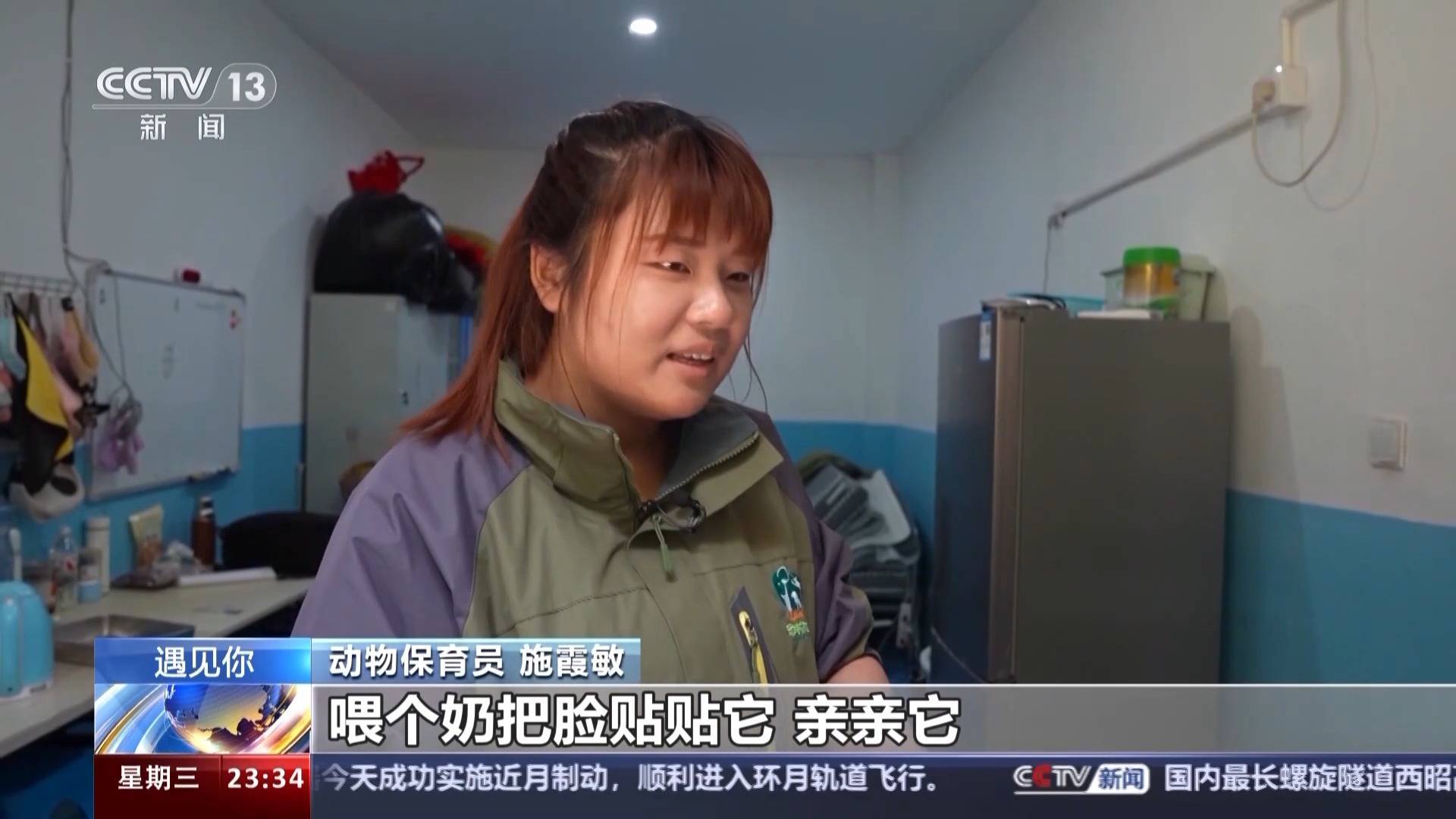 带薪“撸虎玩熊”?95后的她4年里拉扯大200多只猛兽崽崽 带薪“撸虎玩熊”?95后的她4年里拉扯大200多只猛兽崽崽