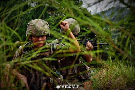 山地丛林，一场捕歼战斗演练打响