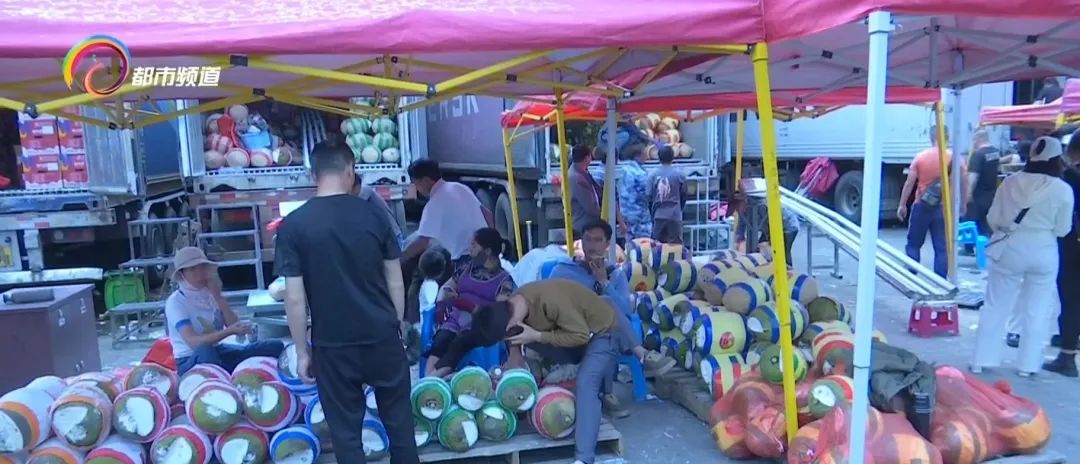 热搜第一!这种高价水果居然“100元5个”? 热搜第一!这种高价水果居然“100元5个”?