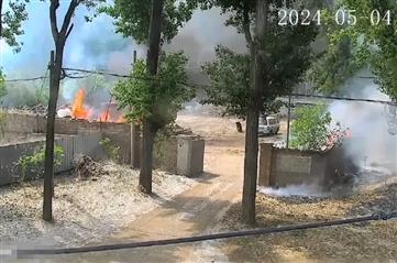 点燃杨柳絮涉嫌违法？民警告诉你→