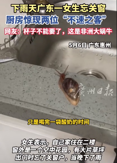 极易致病！认识一下，遇到了别碰