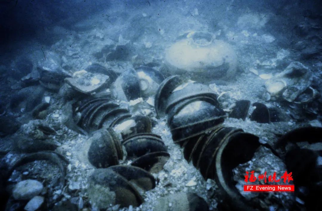 国家二级!很珍贵!福州发现的! 国家二级!很珍贵!福州发现的!