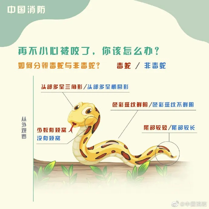 警惕!杭州女子不慎家门口中招,有剧毒 警惕!杭州女子不慎家门口中招,有剧毒