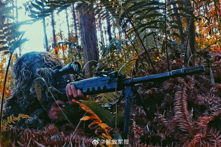 山地丛林，一场捕歼战斗演练打响