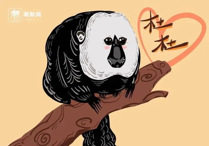 “zoo walk”为啥火了？