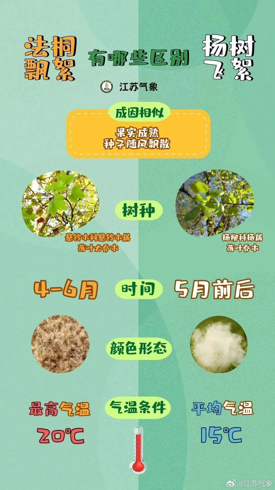 江苏气象：有晴，有雨，有飘絮~