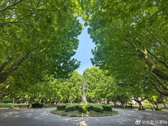 江苏气象：有晴，有雨，有飘絮~