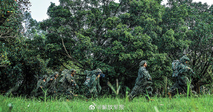 淬锋砺刃！直击陆军某旅狙击专业考核