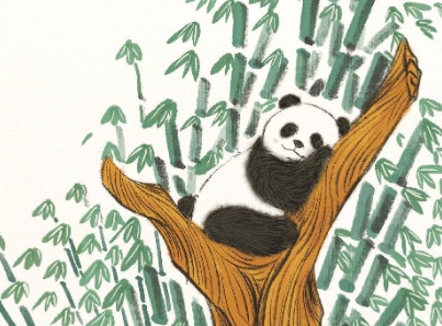 春困又夏乏，为啥总是困？假日疯狂补觉有用吗？医学专家解读七大睡眠疑惑