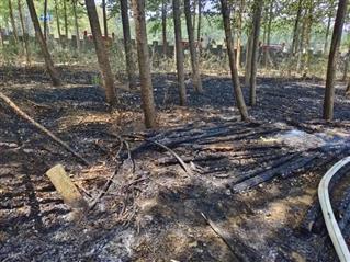 点燃杨柳絮涉嫌违法？民警告诉你→