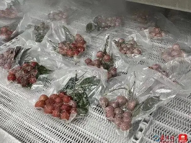 “荔枝减产”、“冻眠荔枝”登上热搜！昆明市场价格……