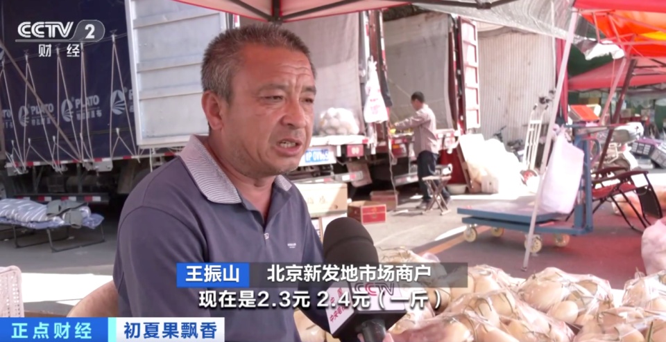 你爱吃的水果便宜了！甜瓜价格近乎“腰斩”，西瓜价格还能再降